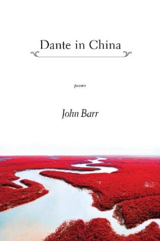 Cover of Dante in China