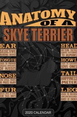 Cover of Anatomy Of A Skye terrier