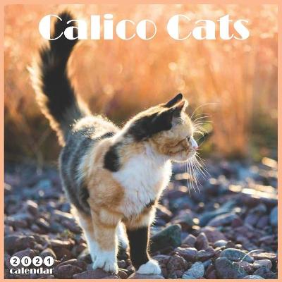 Book cover for Calico Cats Calendar 2021