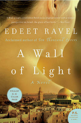Book cover for A Wall of Light