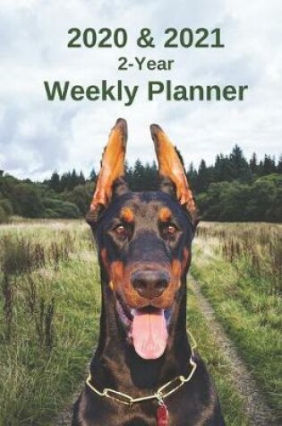 Cover of 2020 & 2021 Weekly Planner - Two Year Appointment Book Gift - Two-Year Agenda Notebook for Doberman Pinscher Owners