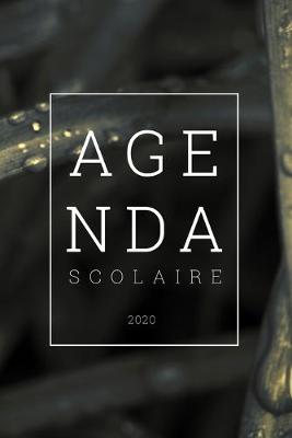 Book cover for Agenda scolaire 2020