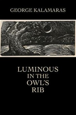 Cover of Luminous in the Owl's Rib