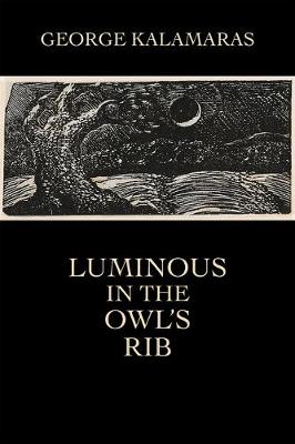 Book cover for Luminous in the Owl's Rib