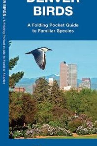 Cover of Denver Birds