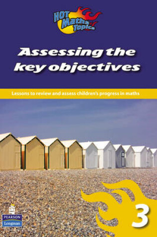 Cover of Hot Maths Topics: Assessing the Key Objectives 3