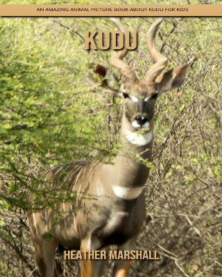 Book cover for kudu