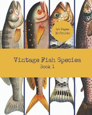 Book cover for Vintage Fish Species