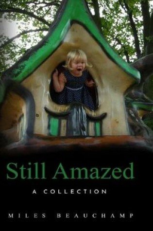 Cover of Still Amazed