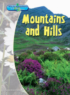 Book cover for Mountains And Hills