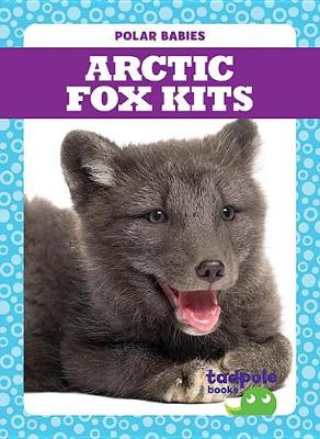 Book cover for Arctic Fox Kits