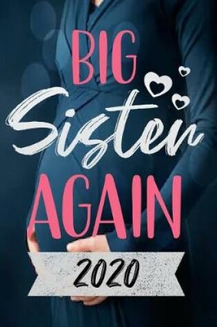 Cover of Big Sister Again 2020