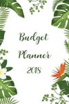 Book cover for Budget Planner 2018