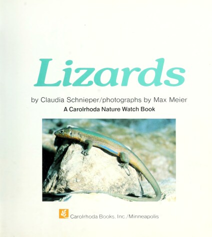 Book cover for Lizards