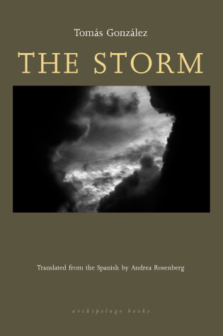 Cover of The Storm