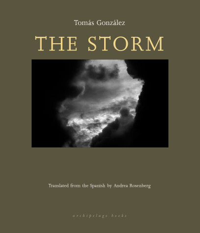 Book cover for The Storm