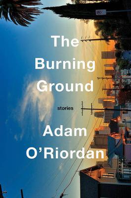 Book cover for The Burning Ground