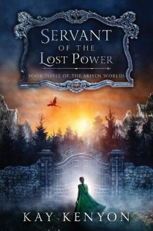 Cover of Servant of the Lost Power
