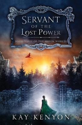 Book cover for Servant of the Lost Power