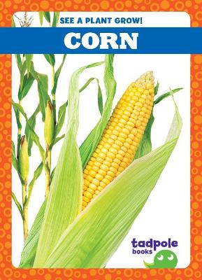 Book cover for Corn