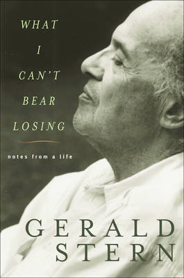 Book cover for What I Can't Bear Losing