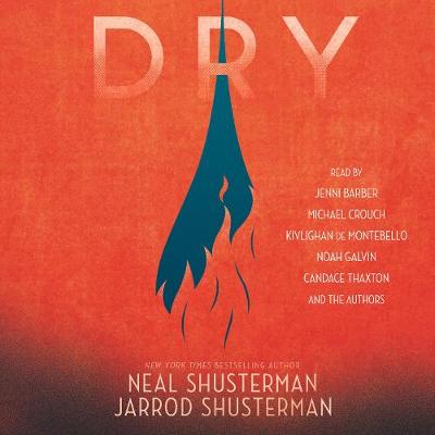 Book cover for Dry