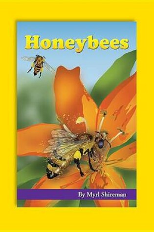 Cover of Honeybees