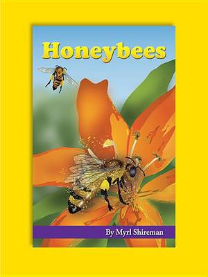 Book cover for Honeybees