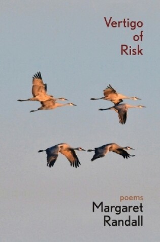 Cover of Vertigo of Risk
