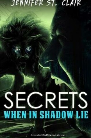 Cover of Secrets When in Shadow Lie