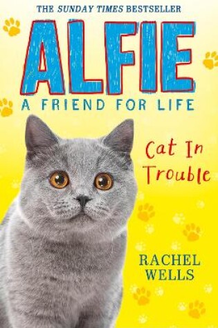 Cover of Alfie Cat in Trouble