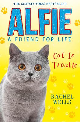 Book cover for Alfie Cat in Trouble