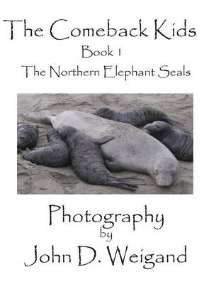 Book cover for "The Comeback Kids" Book 1, The Northern Elephant Seals