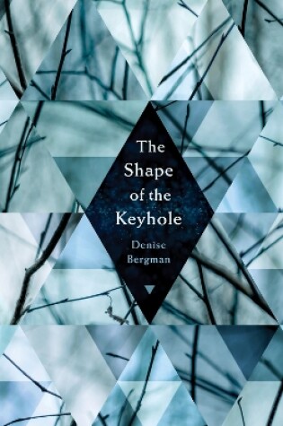 Cover of The Shape of the Keyhole