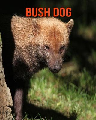 Book cover for Bush Dog