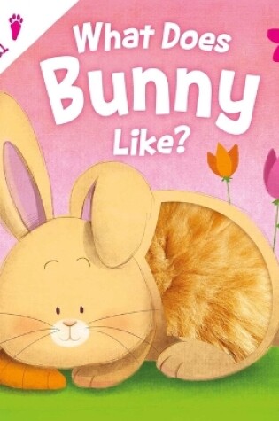 Cover of What Does Bunny Like?