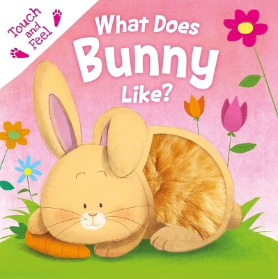 Book cover for What Does Bunny Like?