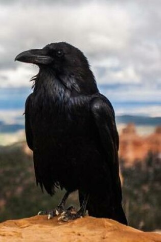 Cover of Regal Black Hawk Perched on a Cliff