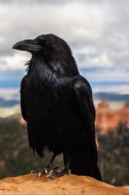 Book cover for Regal Black Hawk Perched on a Cliff