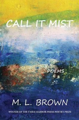 Book cover for Call It Mist