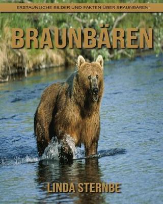 Book cover for Braunbaren