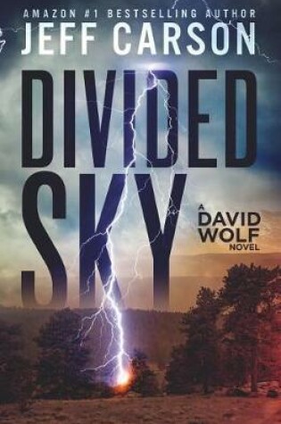 Cover of Divided Sky