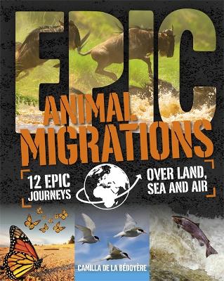 Book cover for Epic!: Animal Migrations
