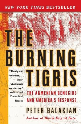 Book cover for The Burning Tigris