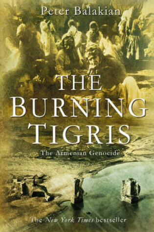 Cover of The Burning Tigris