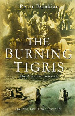 Book cover for The Burning Tigris