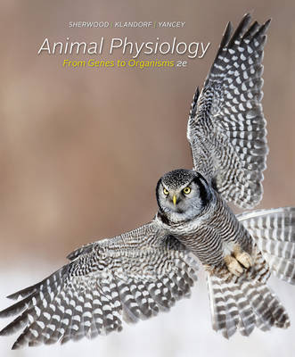 Book cover for Animal Physiology : From Genes to Organisms