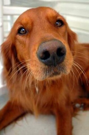 Cover of The Irish Setter Face Close-Up Dog Journal