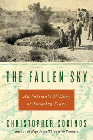 Cover of The Fallen Sky