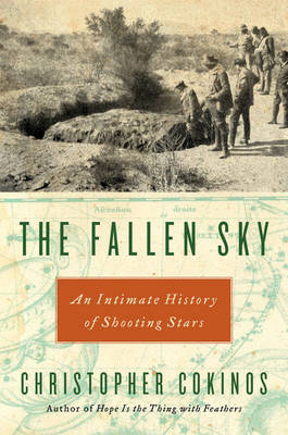 Book cover for The Fallen Sky